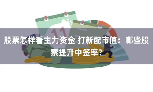 股票怎样看主力资金 打新配市值：哪些股票提升中签率？