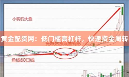 黄金配资网：低门槛高杠杆，快速资金周转