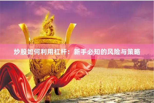 炒股如何利用杠杆：新手必知的风险与策略